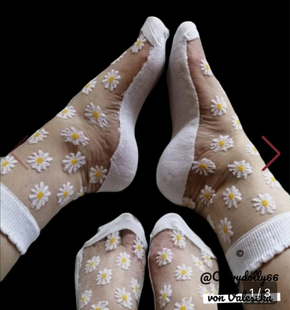 🌼🤍Gänseblümchen 🤍🌼