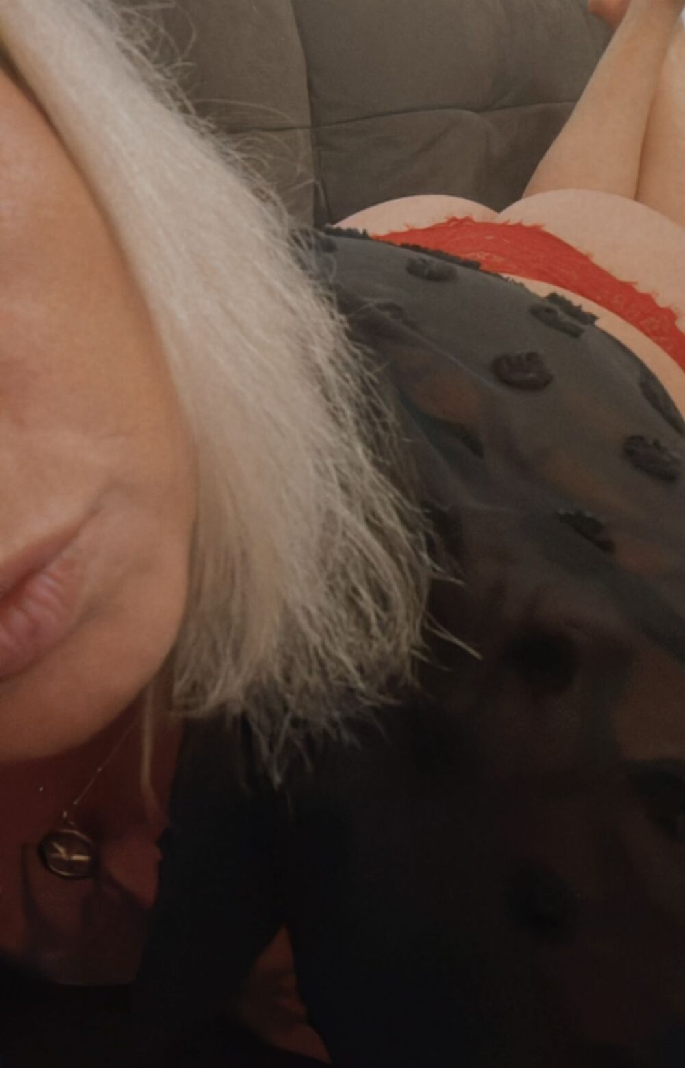 rotes Luder