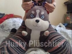 Husky-Stofftier
