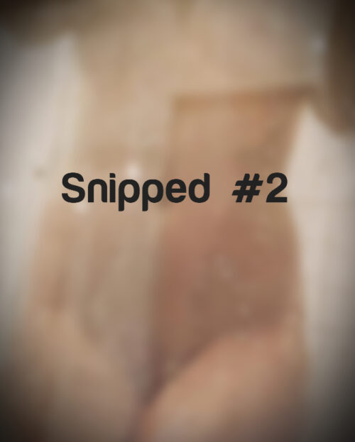 Snipped #2