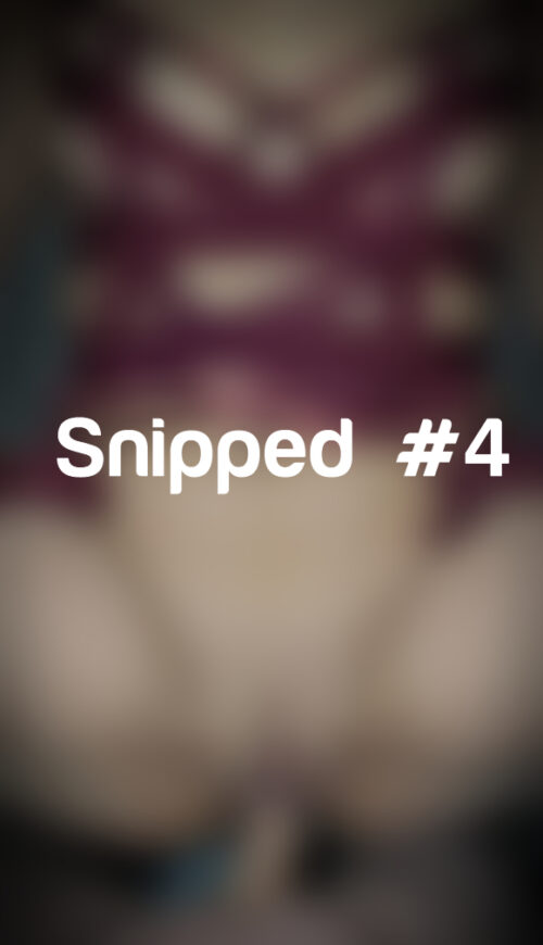 Snipped #4
