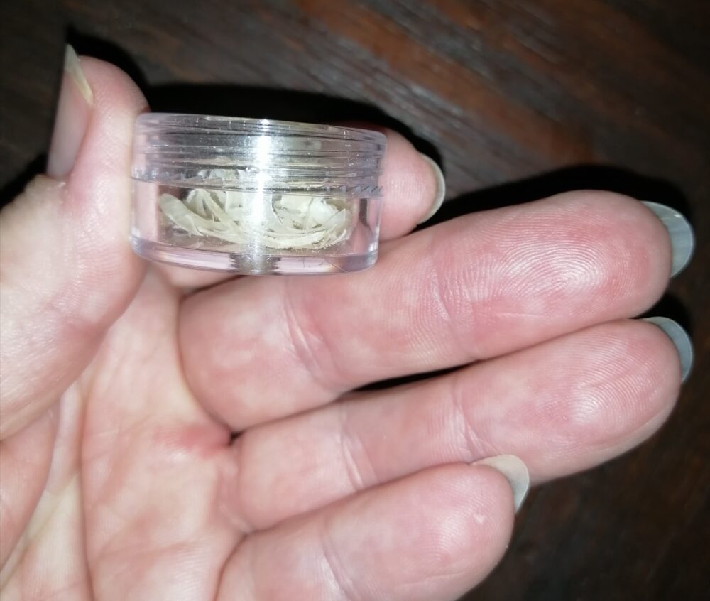 Meine Finger-und Fußnägel