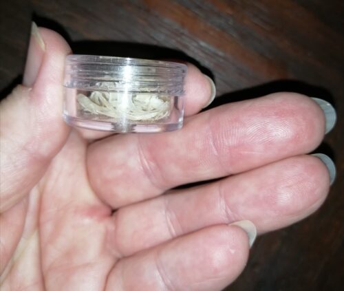 Meine Finger-und Fußnägel