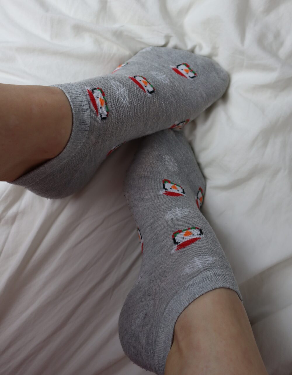 Winterpinguin