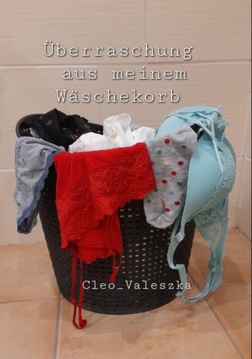 Aus meinem Wäschekorb - ohne Wartezeit
