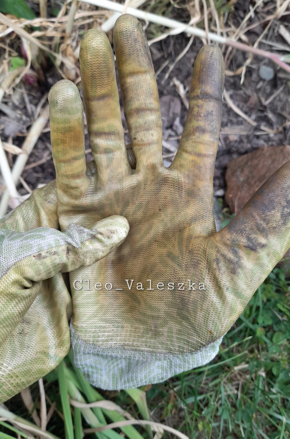 Gartenhandschuhe – Versandfertig