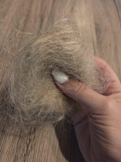 meine blonde Mรคhne ๐ฆ