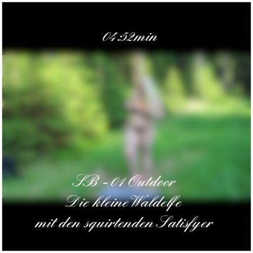 SB - 01 Die kleine Waldelfe
