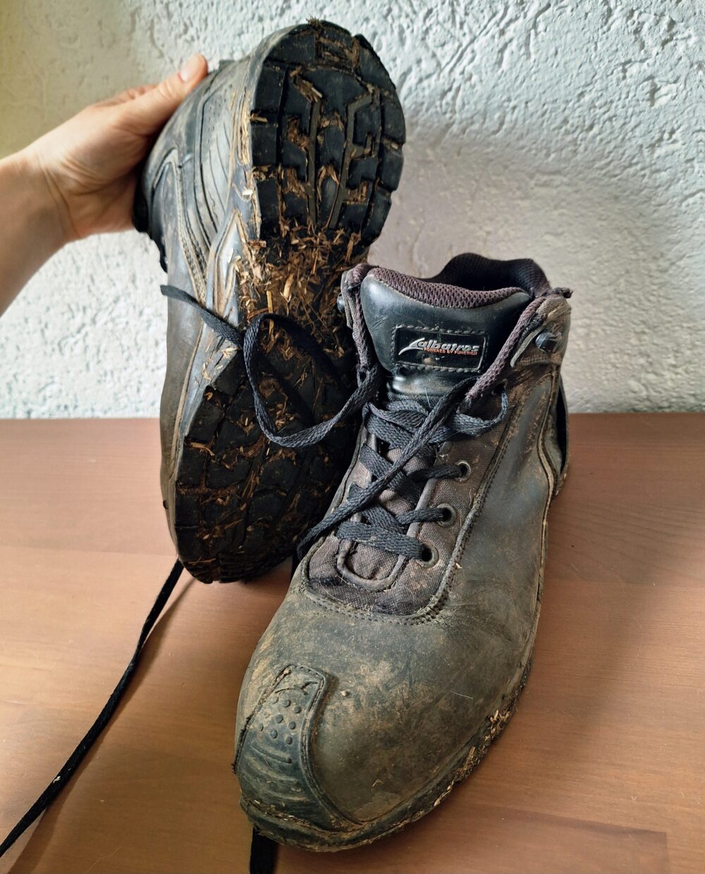 Alte Stallschuhe 👣🏇