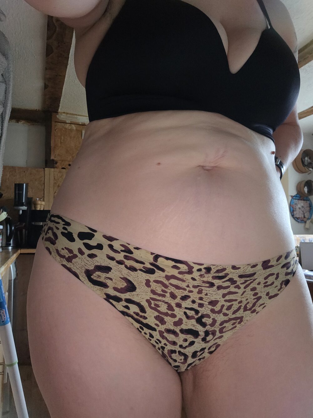 Leoslip
