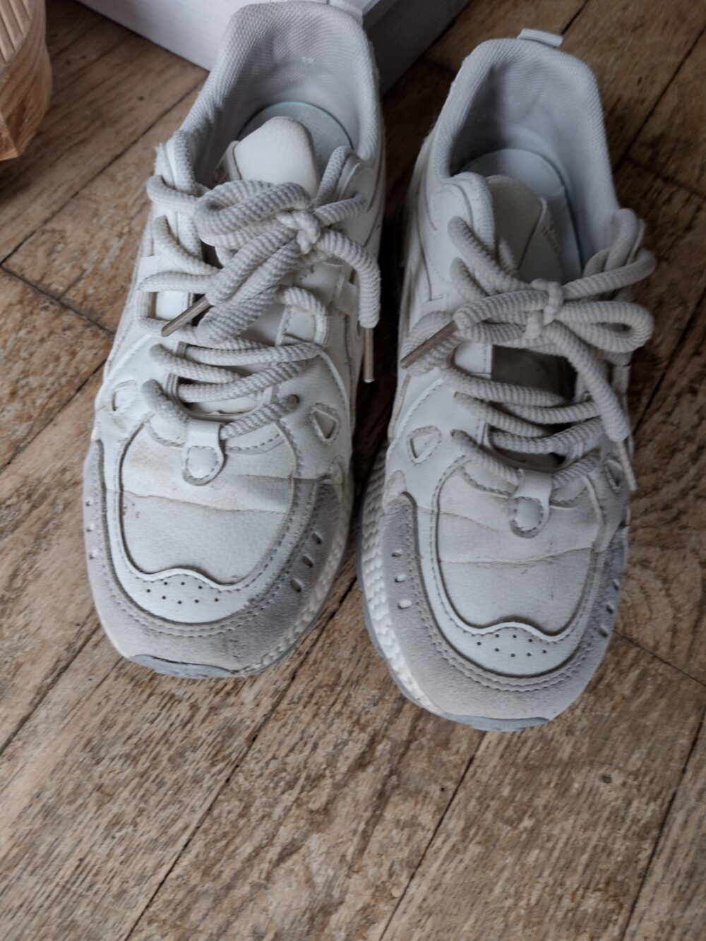 Meine Gassi-Sneaker – Versandfertig