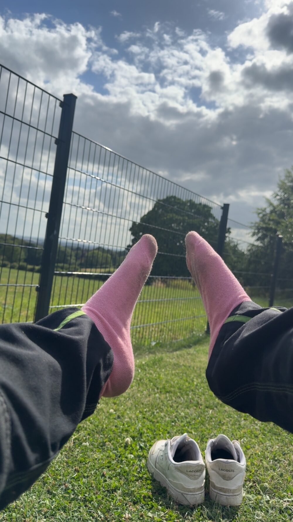 Sneaker Socken rosa – Versandfertig